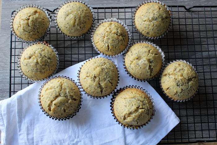 Orange and Poppy Seed Muffin Recipe