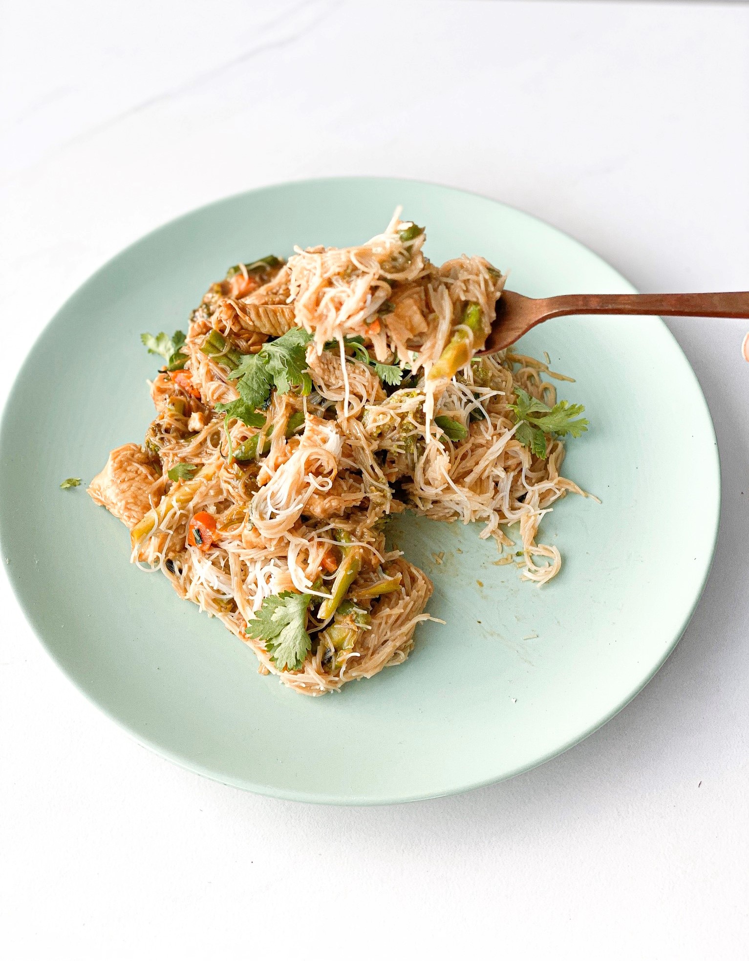 Chicken Satay Noodles
