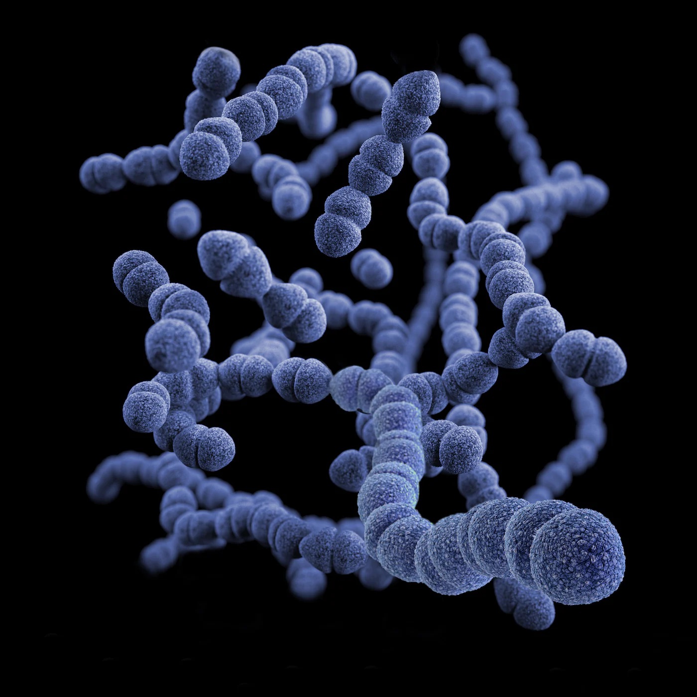 Gut brain axis